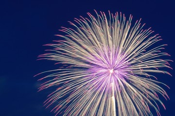 Background colorful Summer Fireworks display in Japan