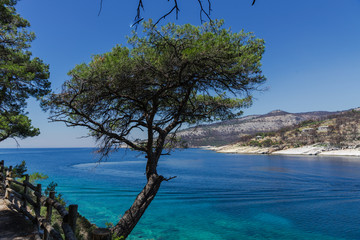 Landscape at the sea