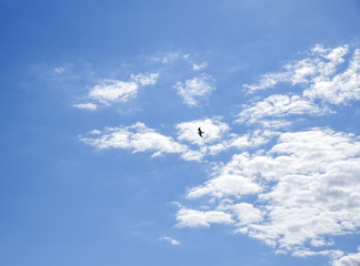 Sky daylight. Natural sky composition. Element of design.