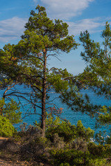 Fototapeta na wymiar Landscape at the sea in Greece 