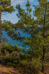 Landscape at the sea in Greece 