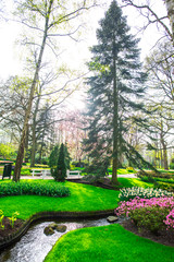 Landscape in Keukenhof park , Holland