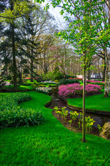 Landscape in Keukenhof park , Holland