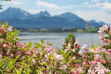 Der Hopfensee im Allgäu