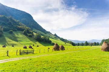 Obraz premium Landscape in the Mountains