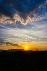 sunset over the field