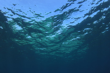 Underwater ocean background  