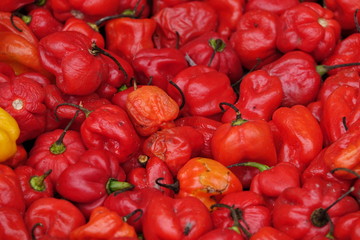fresh Paprika, market