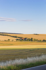 Obraz premium Blick RIchtung Mechelgrün im Vogtland