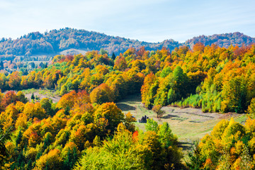 Autumn landscape in Colibita, Romania