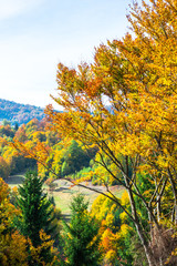 Autumn landscape in Colibita, Romania