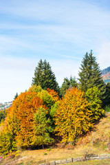 Autumn landscape in Colibita, Romania