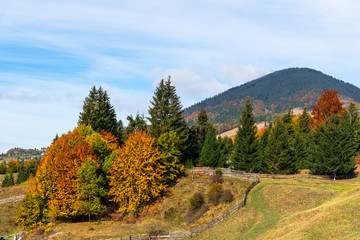 Fototapeta na wymiar Autumn landscape in Colibita, Romania