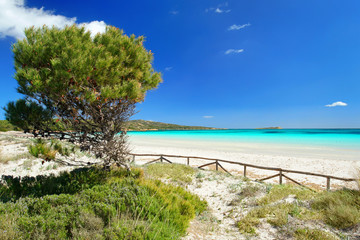 Fototapeta premium Strandlagune
