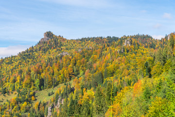 Fototapeta premium Autumn landscape in the Mountains