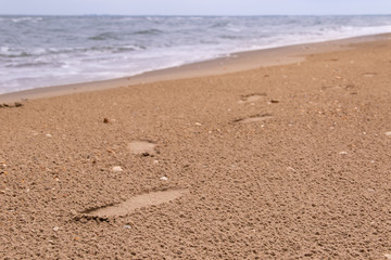 Coast with trails that traverse the sea conceptual image