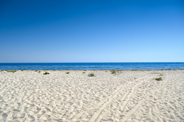 Clean, sandy beach against the blue sea.