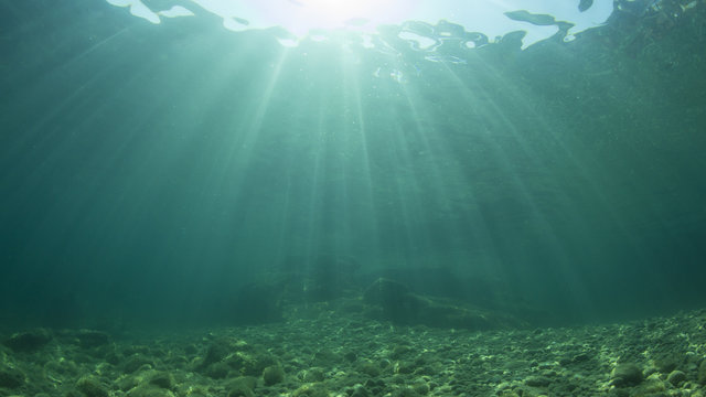 Fototapeta Clear blue water background in ocean   