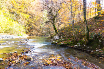 Autumn landscape