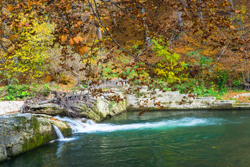 Obraz premium Autumn landscape