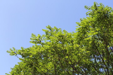 朝日を浴びて04　morning sunshine04