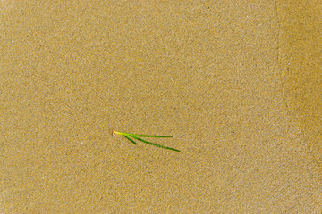 sand on the beach