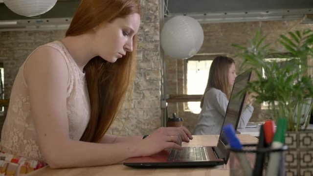 Young ginger businesswoman is working with laptop in office, work concept, communication concept, side view
