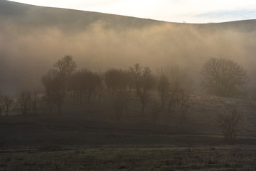 Morning fog on the hill