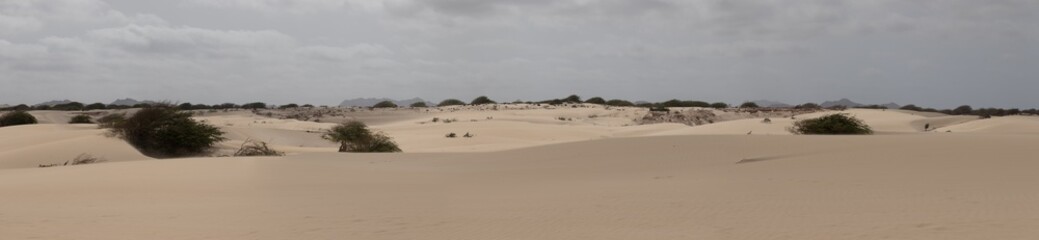 Viana Desert