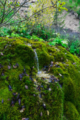 Fototapeta na wymiar Wild waterfall