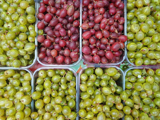 ripe gooseberries for sale
