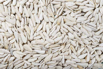 white sunflower seeds as background