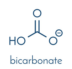Bicarbonate anion, chemical structure. Common salts include sodium bicarbonate (baking soda) and ammonium bicarbonate. Skeletal formula.