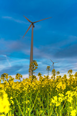wind turbines in the field