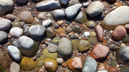 Pebbles in water on seashore