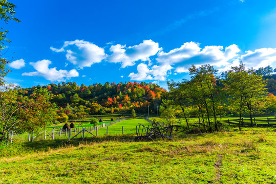Autumn landscape in Susenii Bargaului, Romania