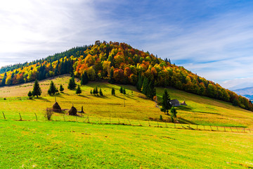 Fototapeta premium Autumn landscape in Carpathia Mountains