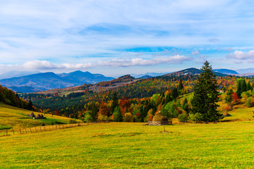 Autumn landscape in Carpathia Mountains