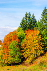 Autumn landscape in Carpathia Mountains