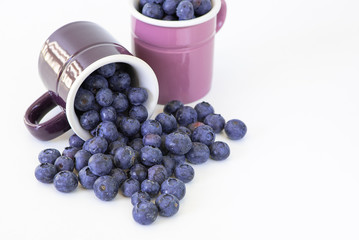 Blaubeerzeit