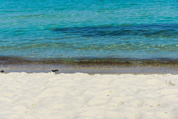 landscape at the sea