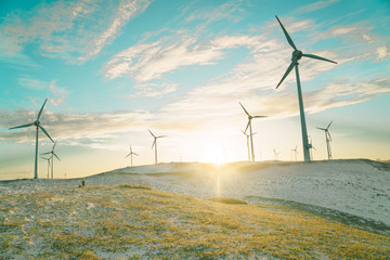 wind turbines