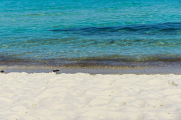 landscape at the sea