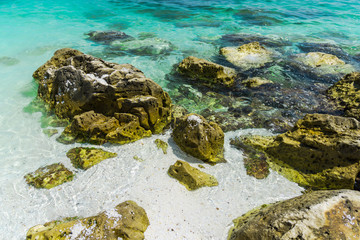 landscape at the sea