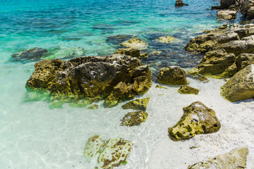 landscape at the sea