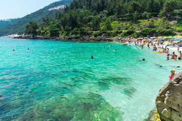 tropical island in the sea