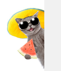 Happy summer cat with sunglasses holding watermelon and peeking above white banner. isolated on white background