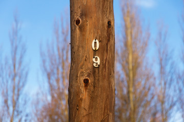  Seccion de poste de telefonía de madera con número identificativo