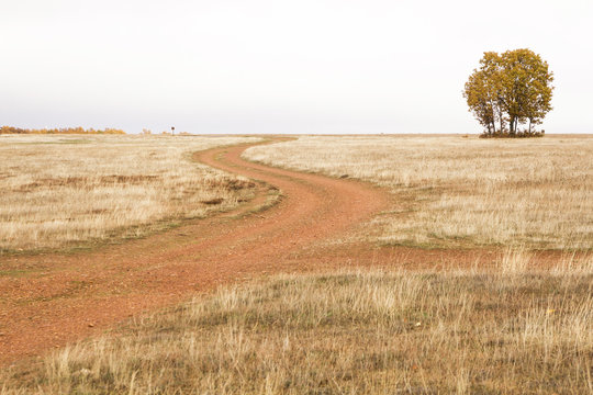  Camino de tierra en curvas, en llanura campestre oto&ntilde;al, bordeado por hierba seca y algun roble y cielo nublado blanco en el horizonte