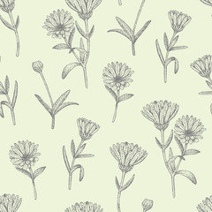 Calendula pattern.